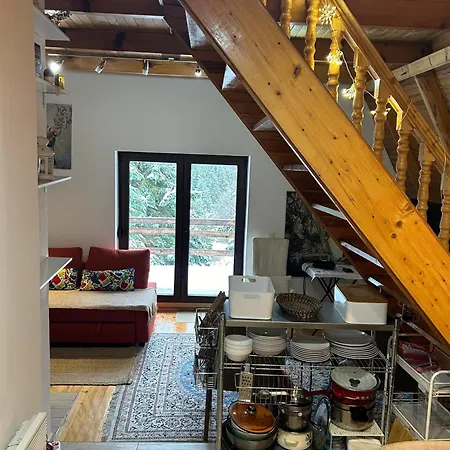 Mansion Tara Ferienhaus Sljivovica (Zlatibor)